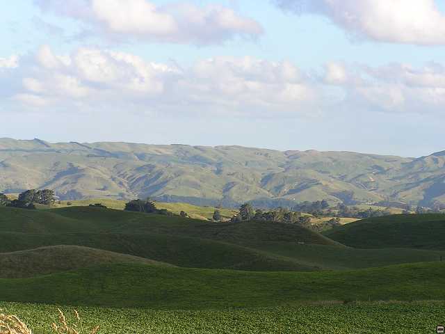 NZ leden-unor 2006 005.jpg